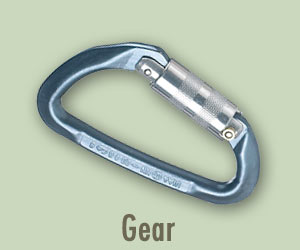 Gear