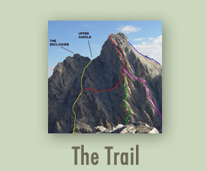 The Trail